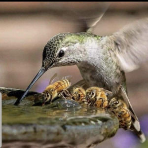 Meet your Posher, Lou